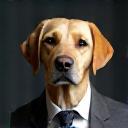 Dog Vogue 石川様